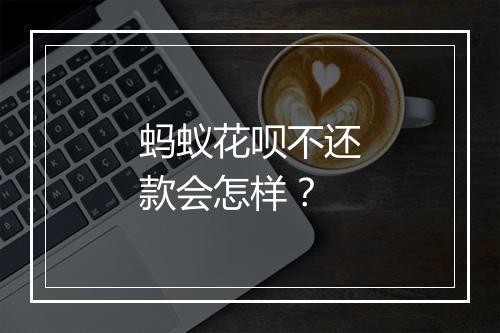 蚂蚁花呗不还款会怎样？