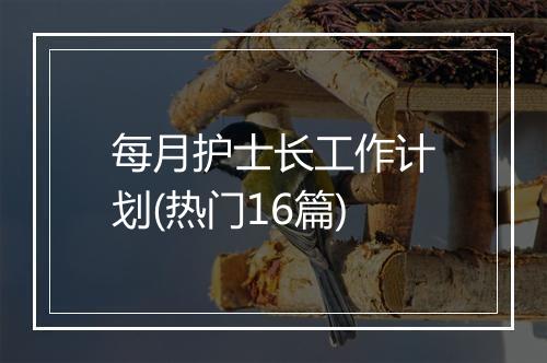 每月护士长工作计划(热门16篇)