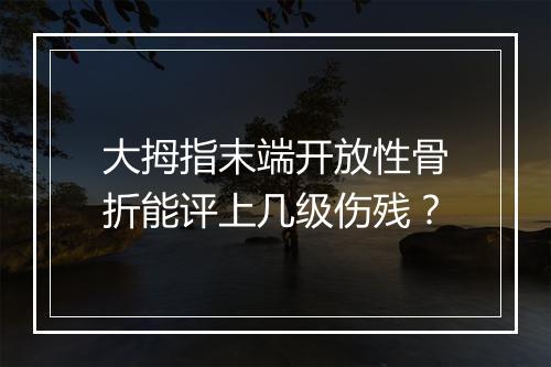 大拇指末端开放性骨折能评上几级伤残？