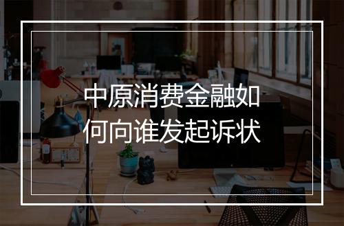 中原消费金融如何向谁发起诉状