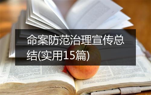 命案防范治理宣传总结(实用15篇)