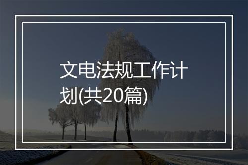 文电法规工作计划(共20篇)