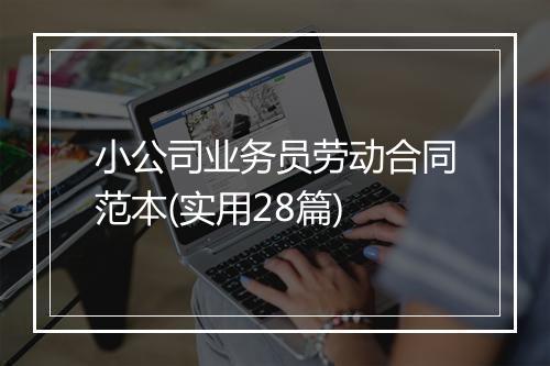 小公司业务员劳动合同范本(实用28篇)