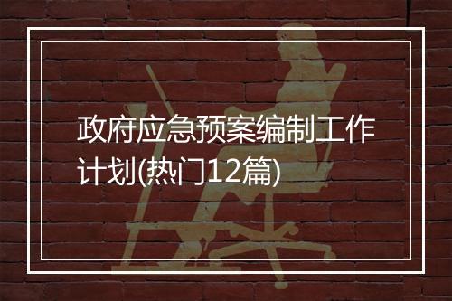 政府应急预案编制工作计划(热门12篇)
