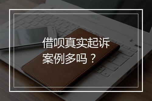 借呗真实起诉案例多吗？