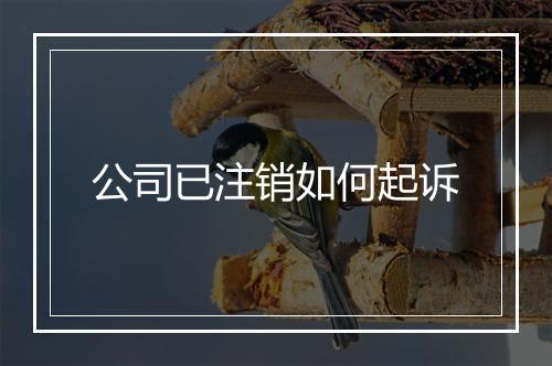 公司已注销如何起诉