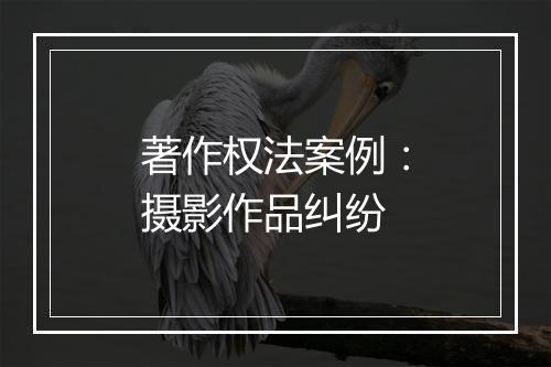 著作权法案例：摄影作品纠纷