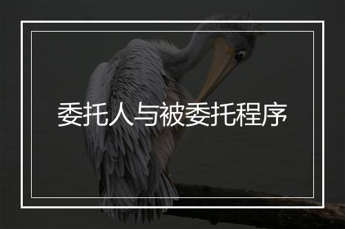 委托人与被委托程序