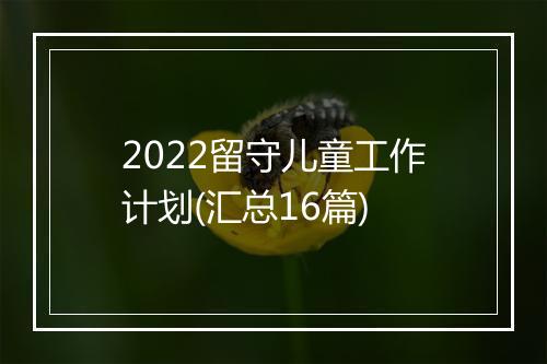 2022留守儿童工作计划(汇总16篇)