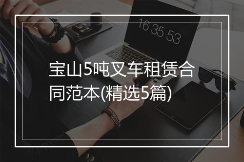 宝山5吨叉车租赁合同范本(精选5篇)