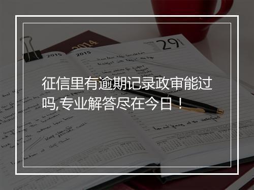 征信里有逾期记录政审能过吗,专业解答尽在今日！