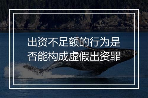 出资不足额的行为是否能构成虚假出资罪