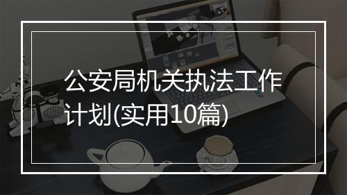 公安局机关执法工作计划(实用10篇)