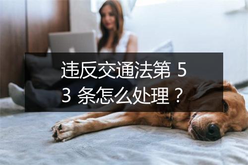 违反交通法第 53 条怎么处理？