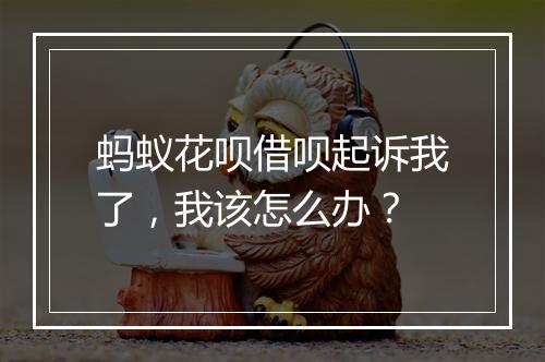 蚂蚁花呗借呗起诉我了，我该怎么办？