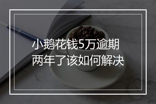 小鹅花钱5万逾期两年了该如何解决