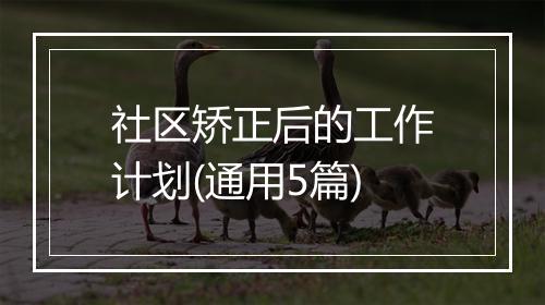 社区矫正后的工作计划(通用5篇)
