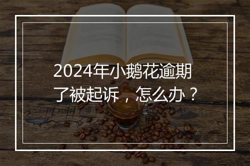 2024年小鹅花逾期了被起诉，怎么办？