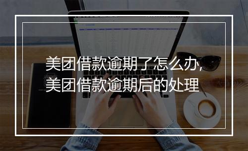 美团借款逾期了怎么办,美团借款逾期后的处理