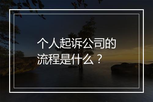 个人起诉公司的流程是什么？