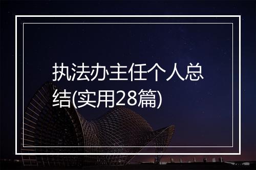 执法办主任个人总结(实用28篇)