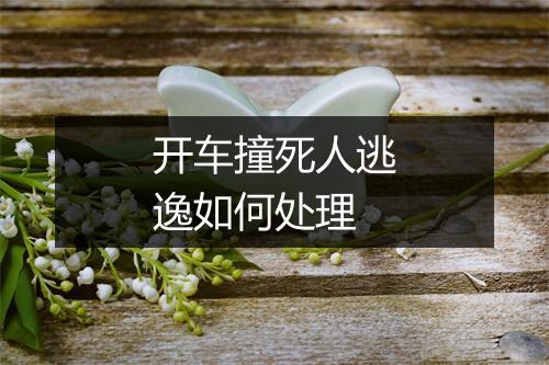 开车撞死人逃逸如何处理