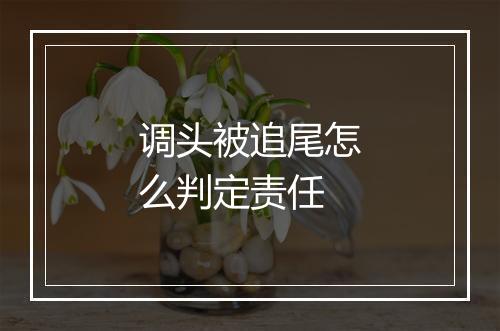 调头被追尾怎么判定责任
