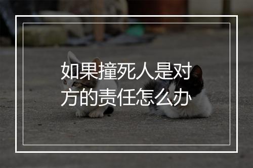 如果撞死人是对方的责任怎么办