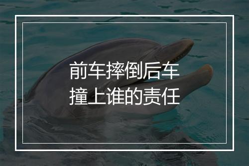 前车摔倒后车撞上谁的责任