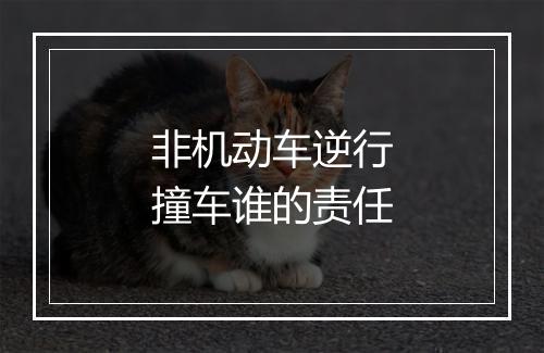 非机动车逆行撞车谁的责任