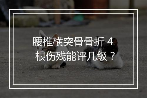 腰椎横突骨骨折 4 根伤残能评几级？