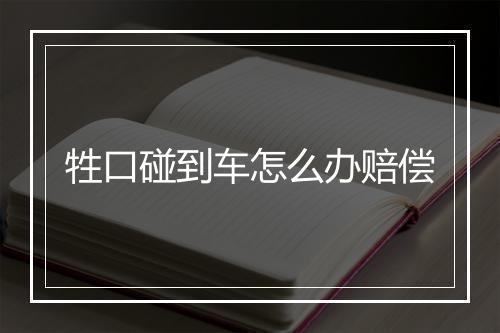 牲口碰到车怎么办赔偿