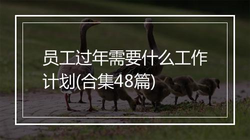 员工过年需要什么工作计划(合集48篇)