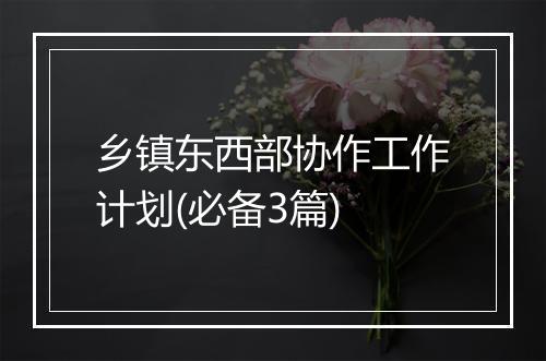 乡镇东西部协作工作计划(必备3篇)