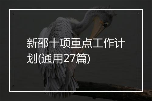 新邵十项重点工作计划(通用27篇)