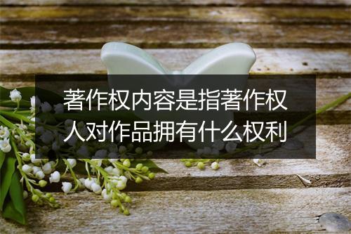 著作权内容是指著作权人对作品拥有什么权利