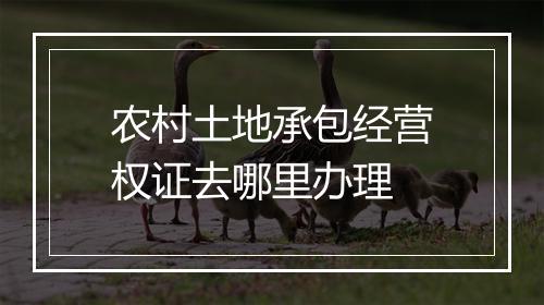 农村土地承包经营权证去哪里办理