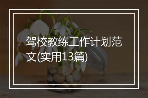 驾校教练工作计划范文(实用13篇)