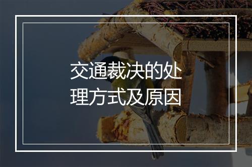 交通裁决的处理方式及原因