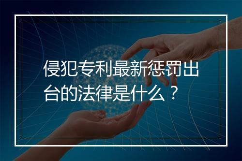 侵犯专利最新惩罚出台的法律是什么？