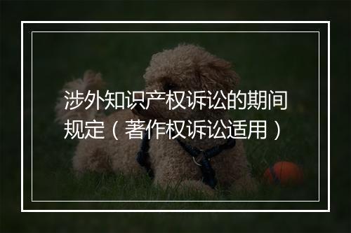 涉外知识产权诉讼的期间规定（著作权诉讼适用）
