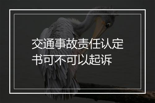 交通事故责任认定书可不可以起诉