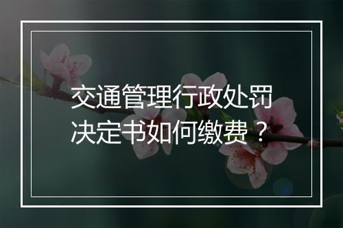 交通管理行政处罚决定书如何缴费？