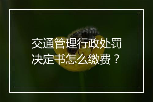 交通管理行政处罚决定书怎么缴费？