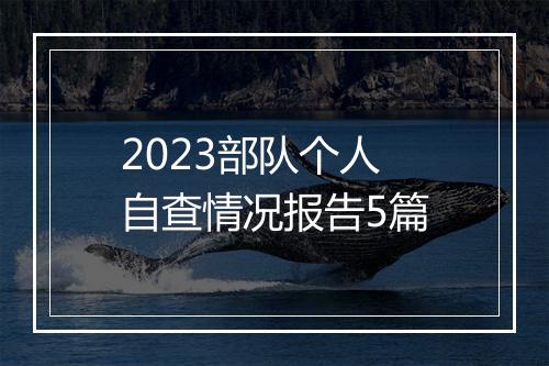 2023部队个人自查情况报告5篇