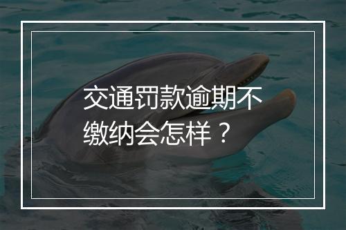 交通罚款逾期不缴纳会怎样？