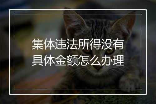 集体违法所得没有具体金额怎么办理