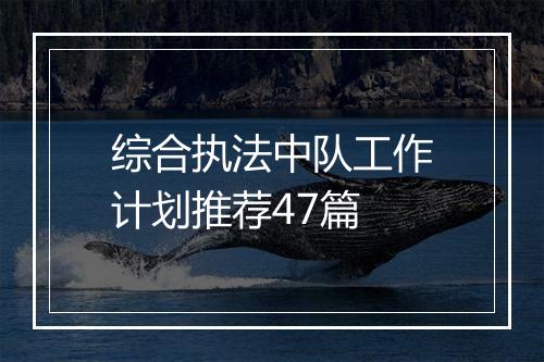 综合执法中队工作计划推荐47篇