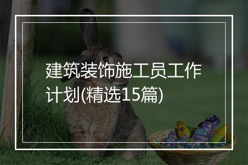 建筑装饰施工员工作计划(精选15篇)