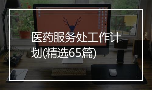医药服务处工作计划(精选65篇)